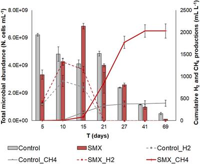 Effects of Sulfamethoxazole on the Microbial Community Dynamics During the Anaerobic Digestion Process